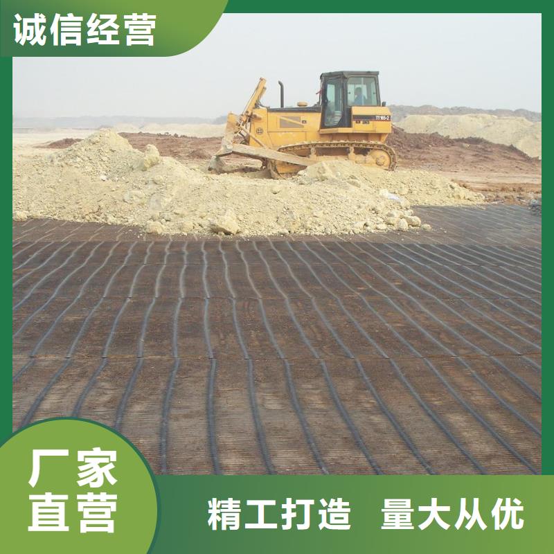 双向塑料土工格栅-双向塑料土工格栅实体厂家