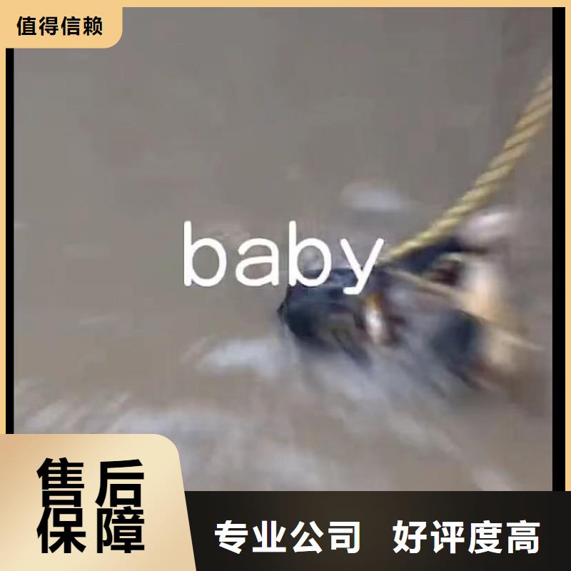 蛙人切割钢筋笼钢板桩蛙人切割钢筋笼钢板桩蛙人切割钢筋笼钢板桩