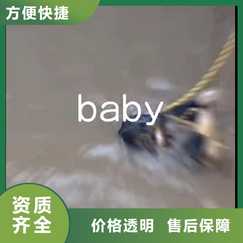 乐东县市政管道封堵气囊垒墙拆墙价格合理