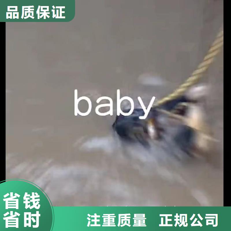 水下安装,污水池换曝气头实力团队