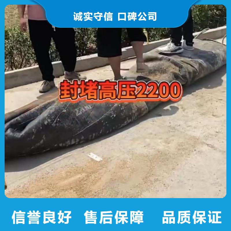 水下安装,防水堵漏实力强有保证