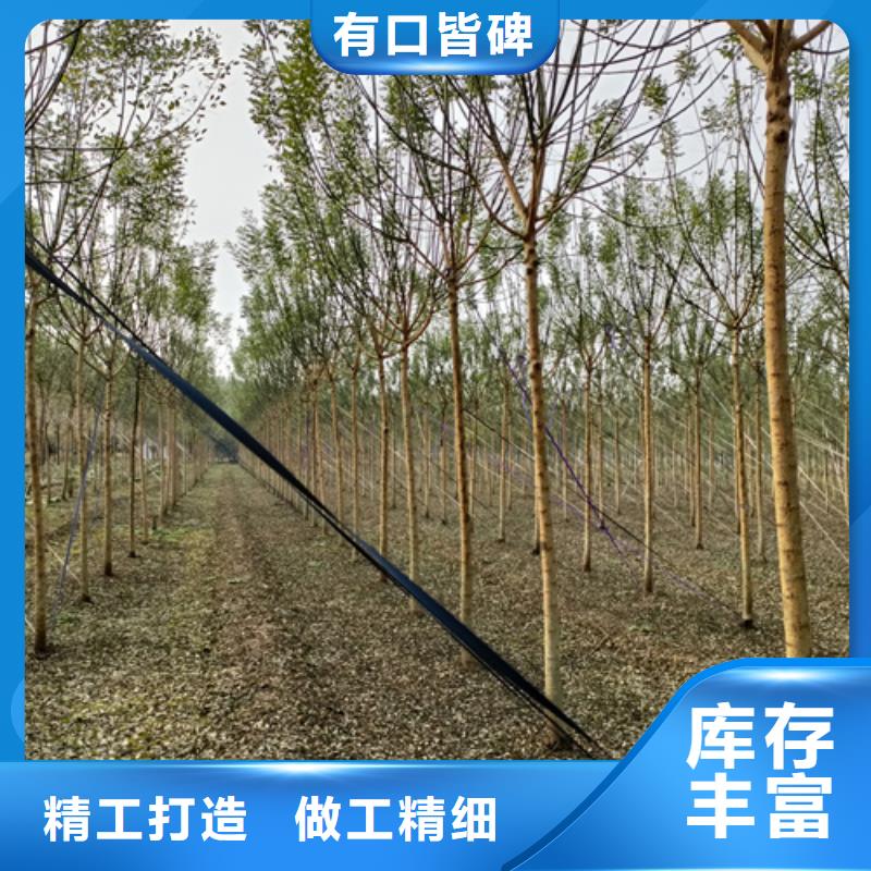 造型法桐企业