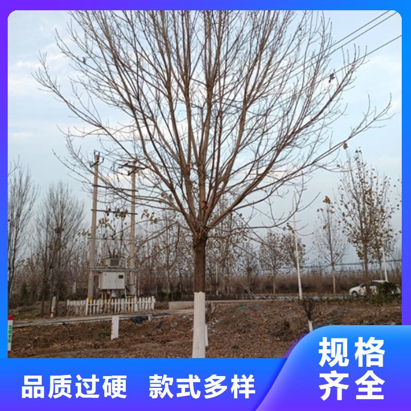 法桐值得信赖-厂家