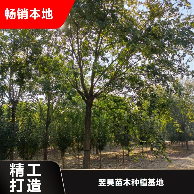 法桐实体大厂