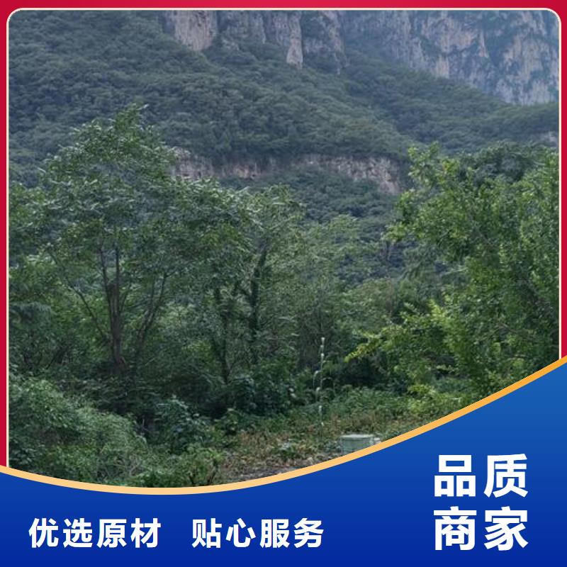 二次构造柱泵细石混凝土输送泵规格齐全实力厂家