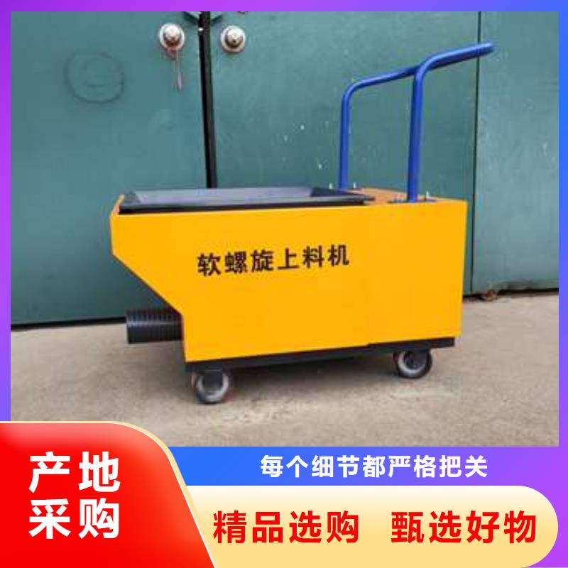 小型二次构造柱泵上料机厂家