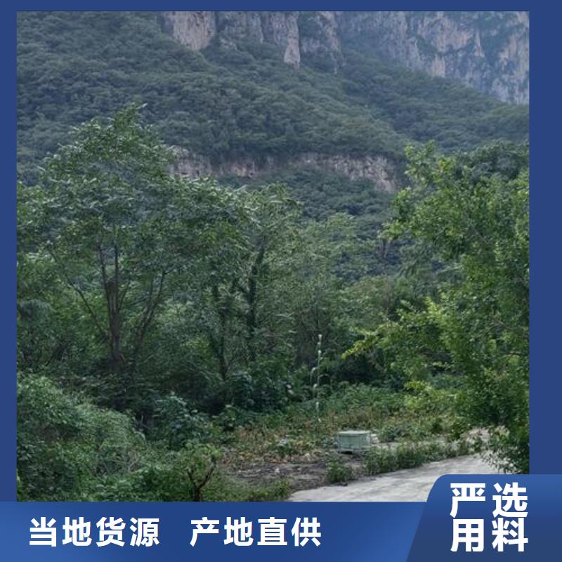 小型混凝土输送泵厂家