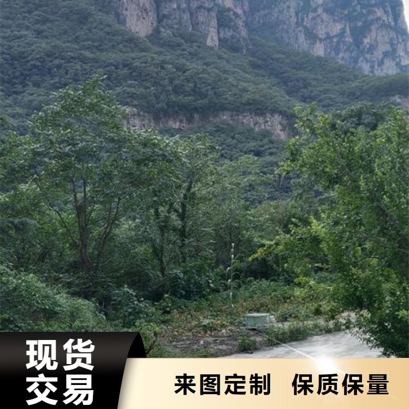 小型混凝土输送泵厂家