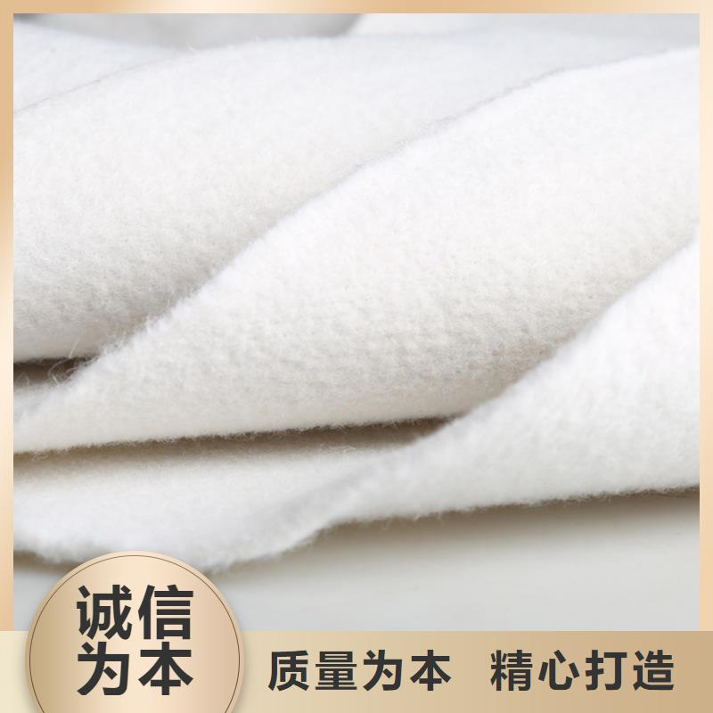三布两膜土工布厂家供应