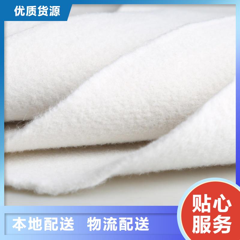 无纺土工布