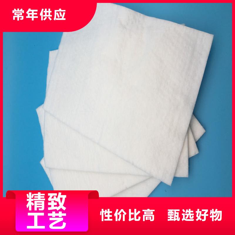 碎石边坡防护土工布