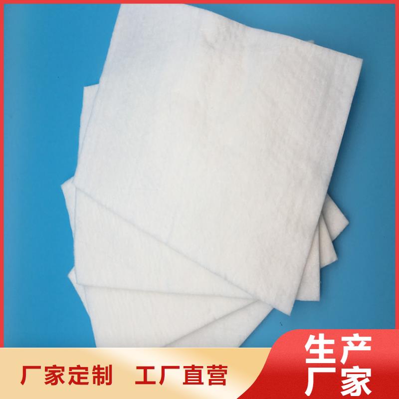滤水土工布
