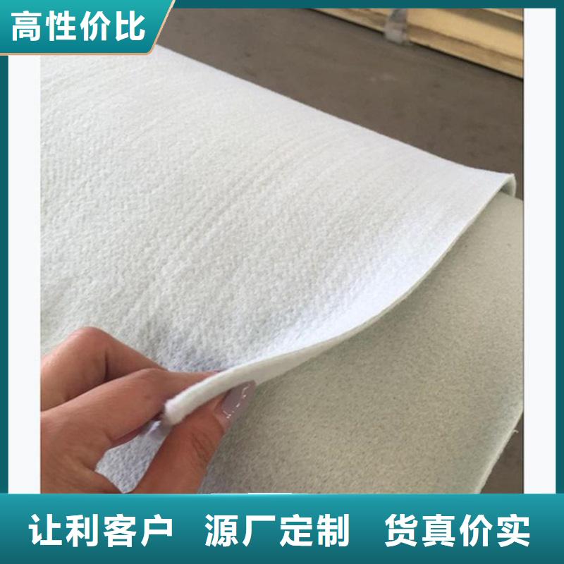 长丝长丝无纺土工布