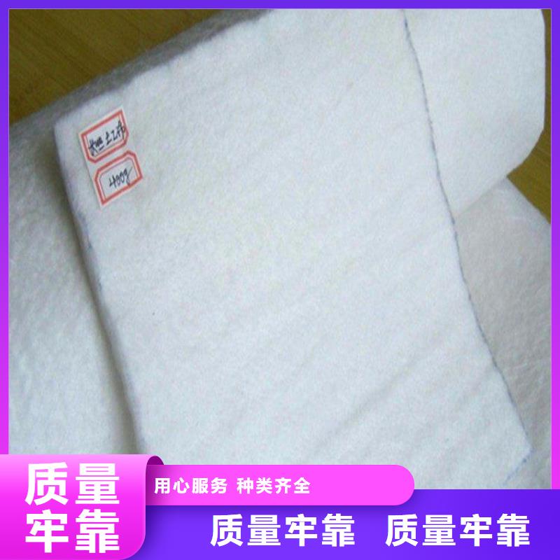 防渗土工布