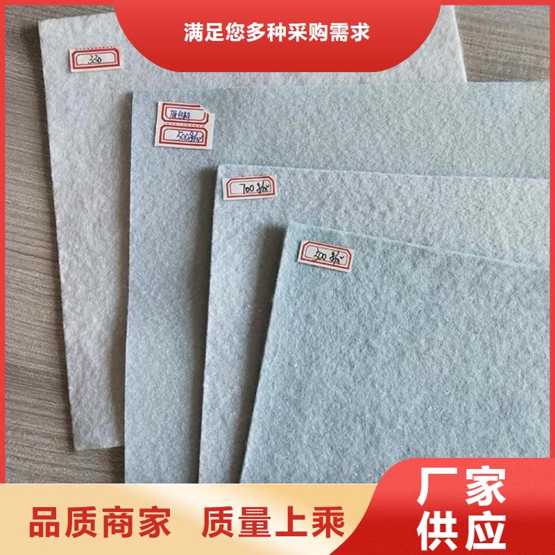 长丝土工布-450g土工布