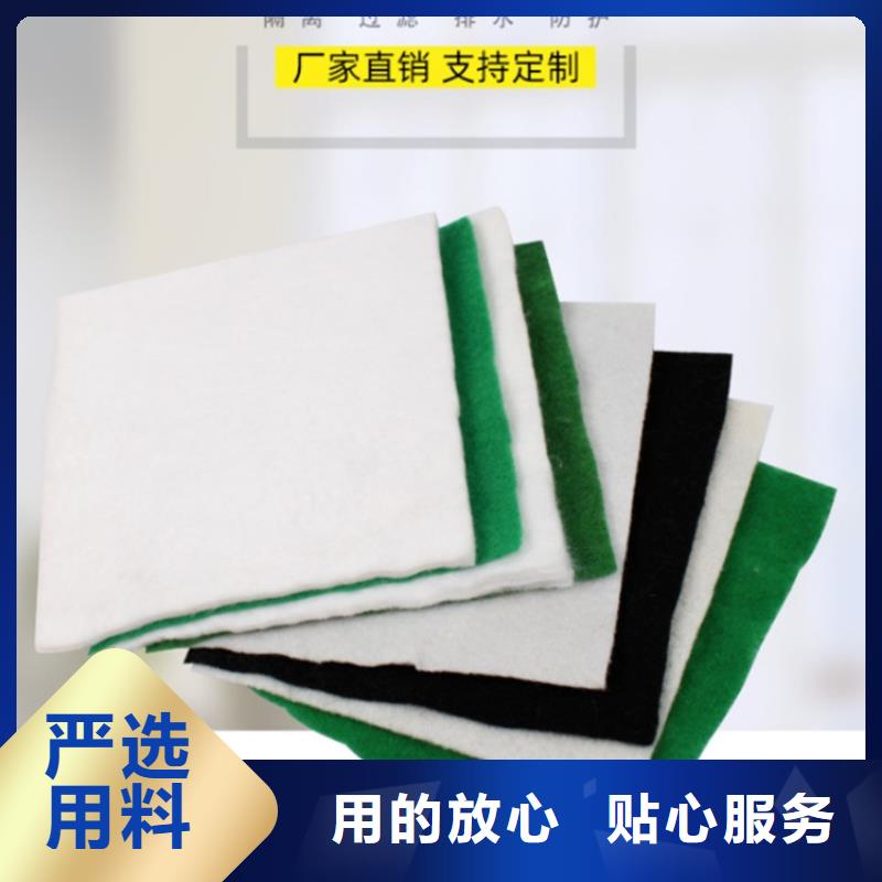 三布两膜土工布厂家供应
