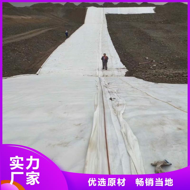 土工布-防渗土工布