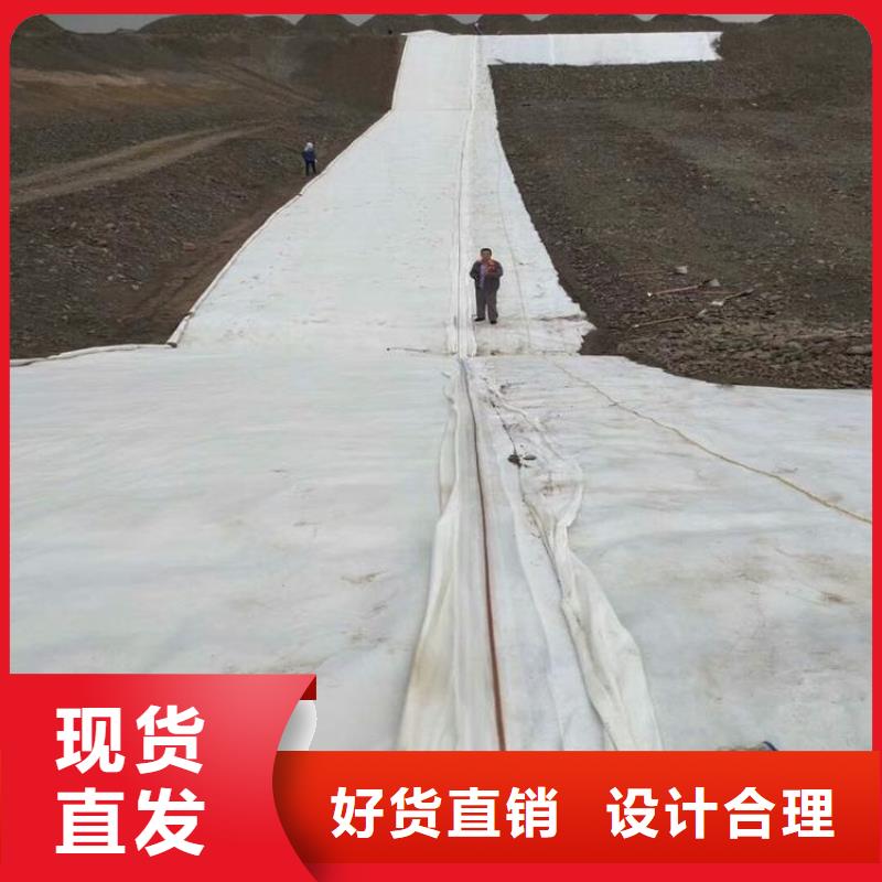 防渗土工布本地经销