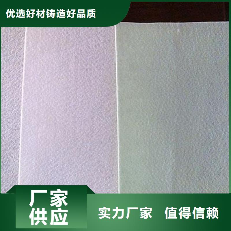 防渗土工布