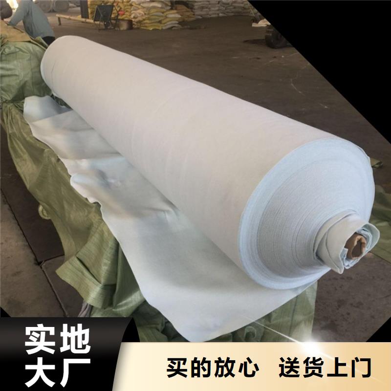 长丝土工布-450g土工布