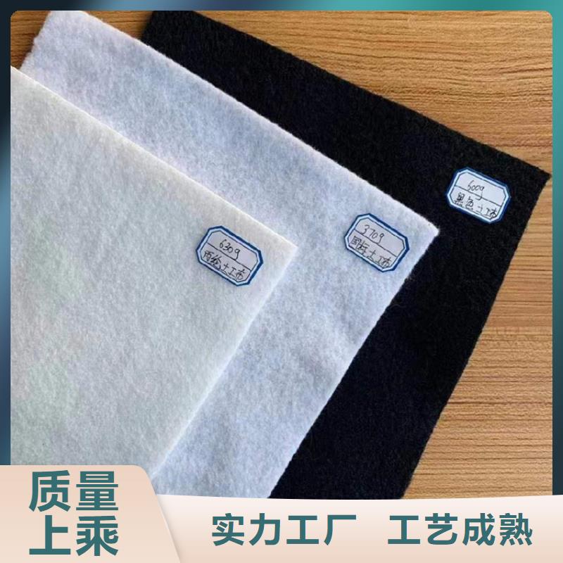 碎石边坡防护土工布