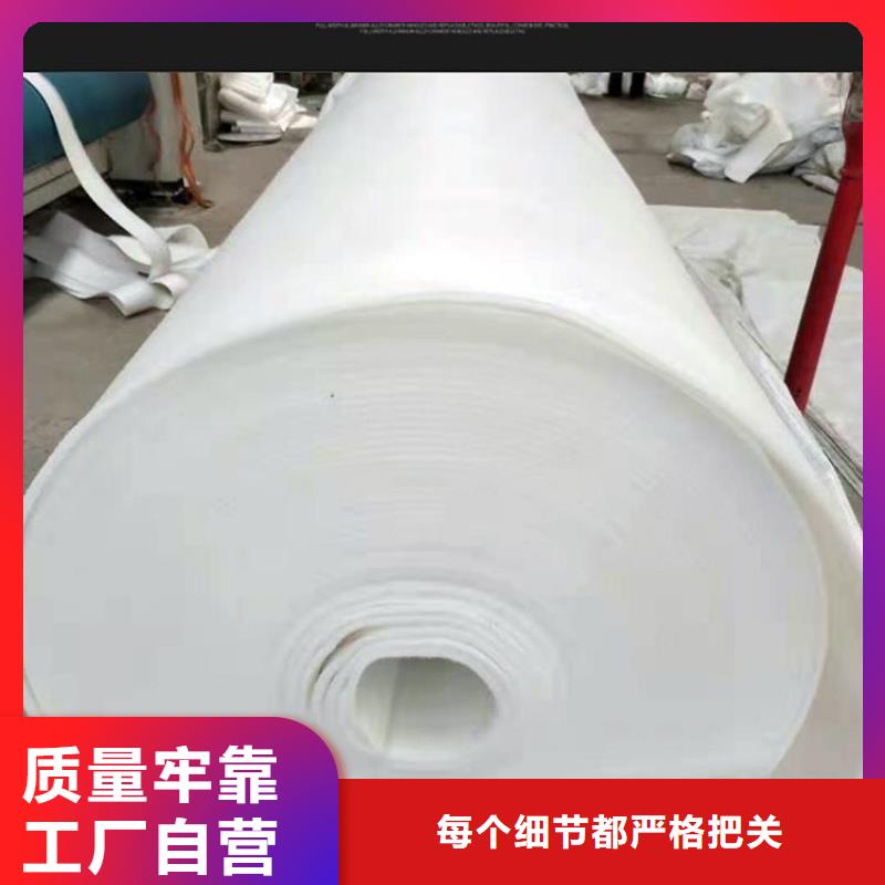 土工布批发_长纤土工布_150g翠绿色土工布