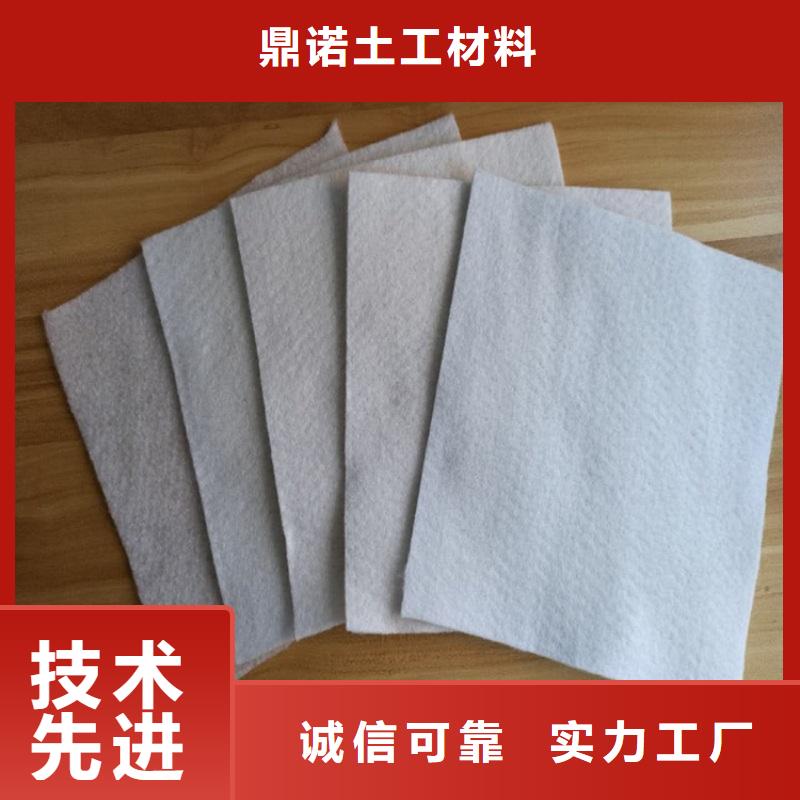 乐东县土工布厂家_无纺土工布_450g土工布