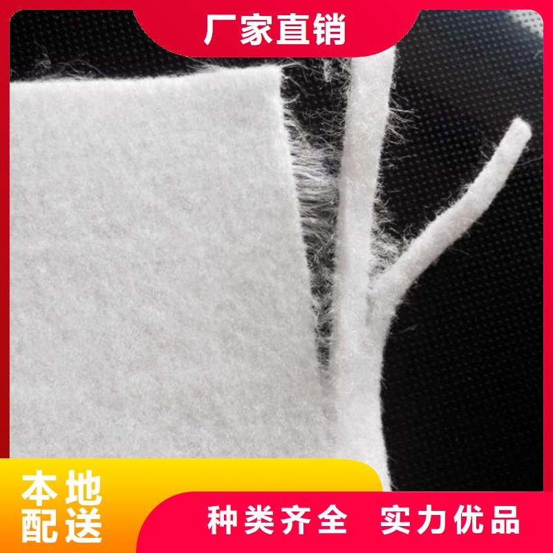 土工布HDPE土工膜现货采购