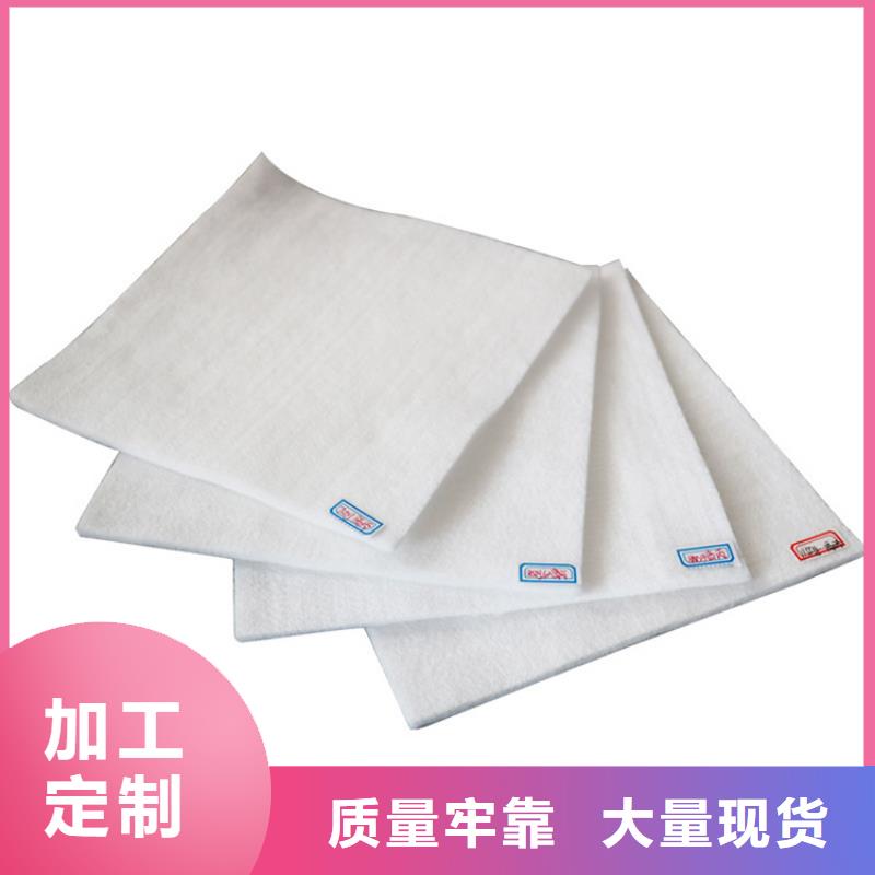 长丝土工布-450g土工布