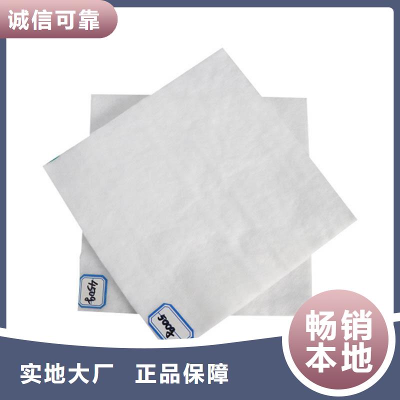 三布两膜土工布厂家供应