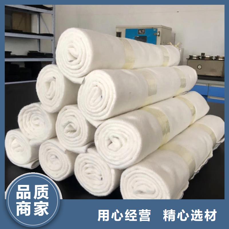 三布两膜土工布厂家供应