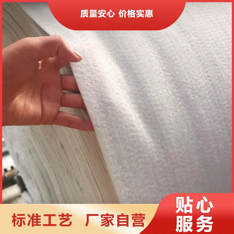 土工布-土工膜多种工艺