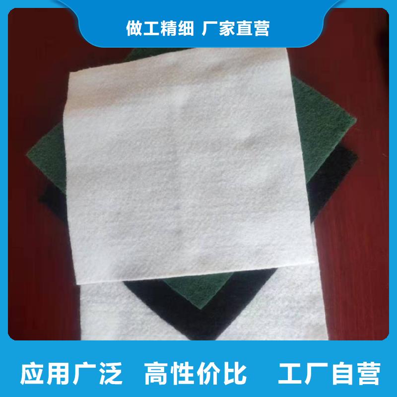 碎石边坡防护土工布