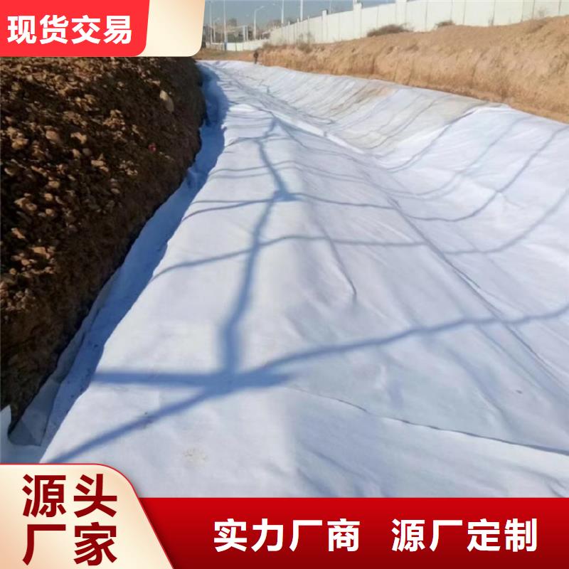 土工布-土工膜多种工艺