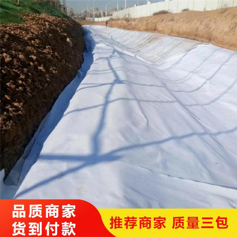 复合土工布厂家