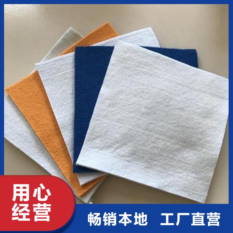 土工布-反滤隔离土工布