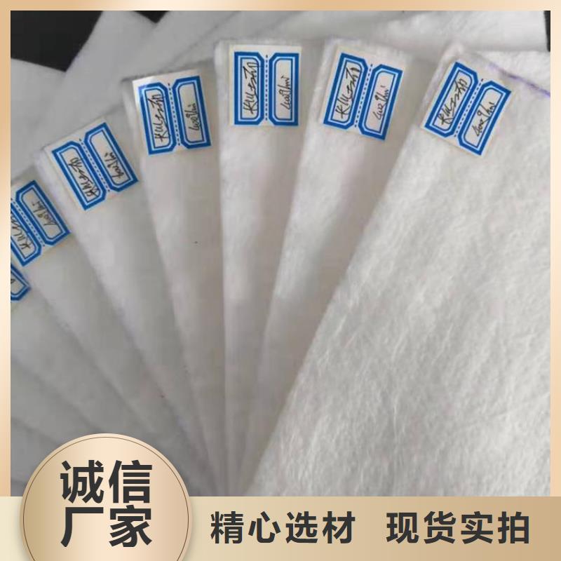 防渗土工布本地经销