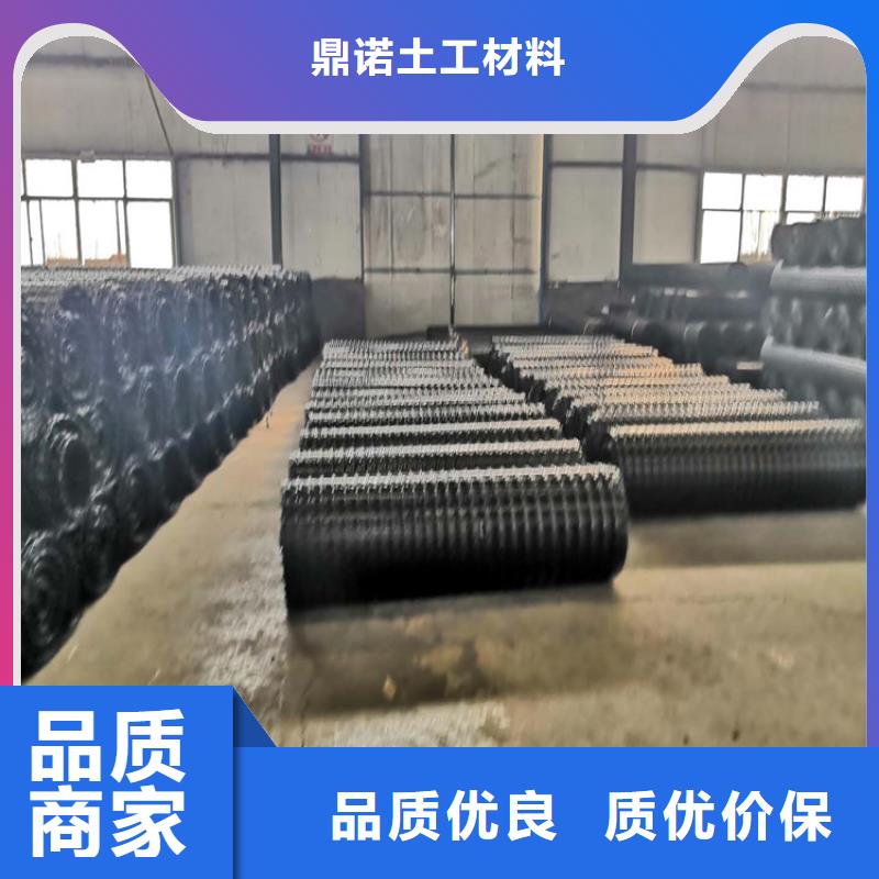 【土工格栅土工膜闪电发货】