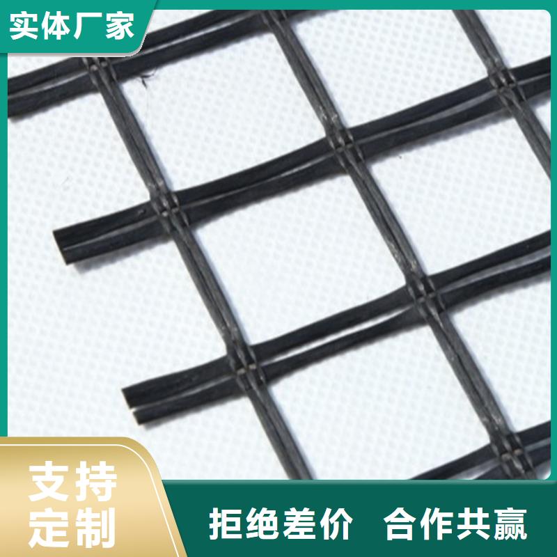 玻璃纤维格栅-TGSG双向塑料土工格栅