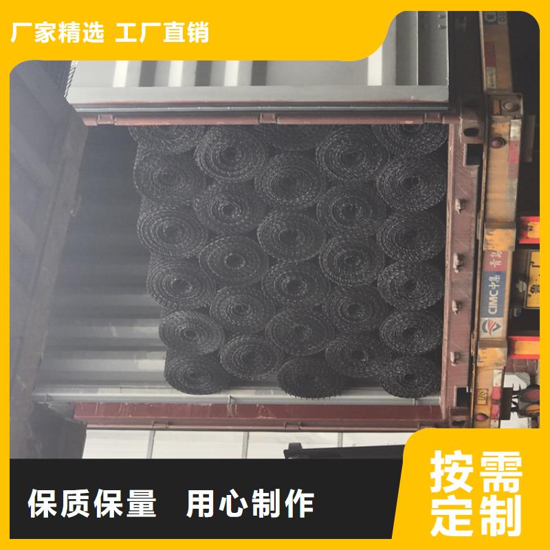 养殖土工格栅厂家直供
