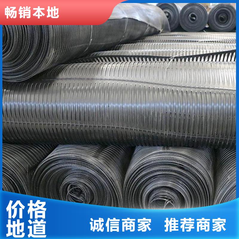 养殖土工格栅厂家直供