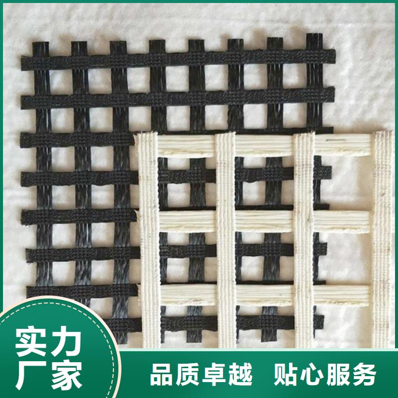 【土工格栅土工膜闪电发货】