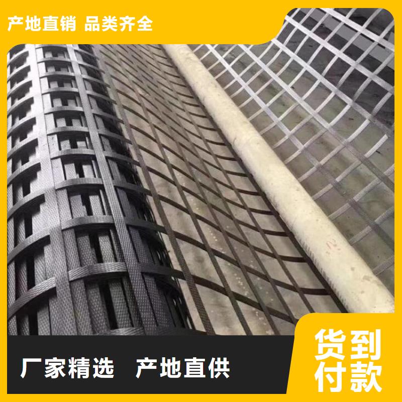 养殖土工格栅厂家直供