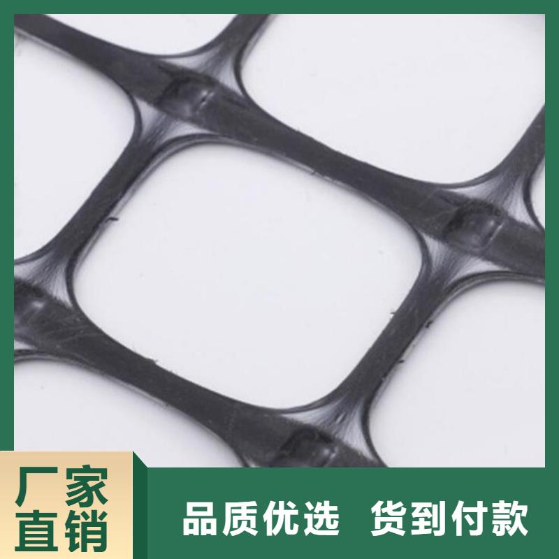 优质工艺《鼎诺》玻璃纤维格栅-加筋玻纤土工格栅