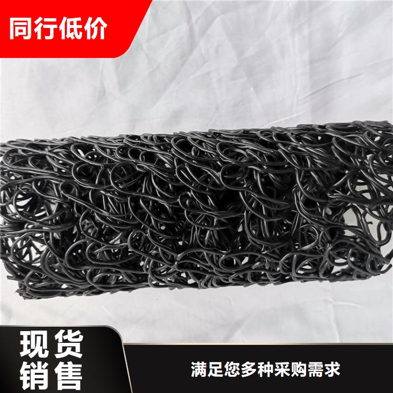 塑料盲管-MF10301540塑料盲沟
