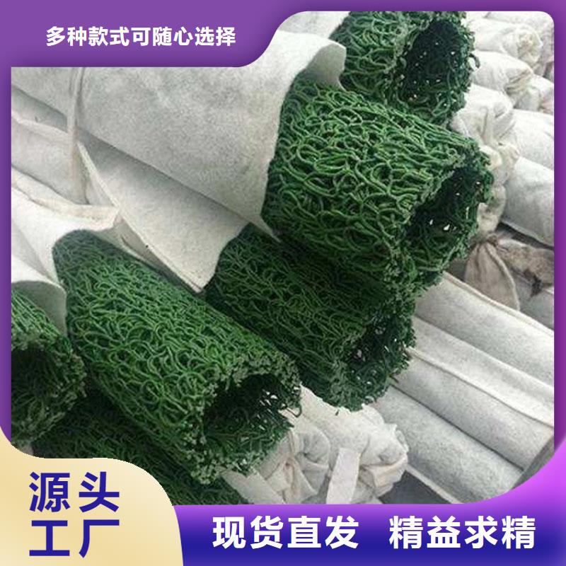 排水盲管