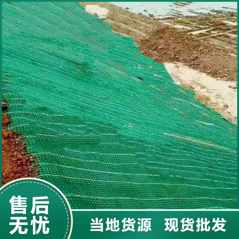椰丝毯-生态护坡草毯-水保植物纤维毯