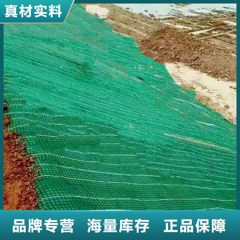 加筋抗冲生物毯