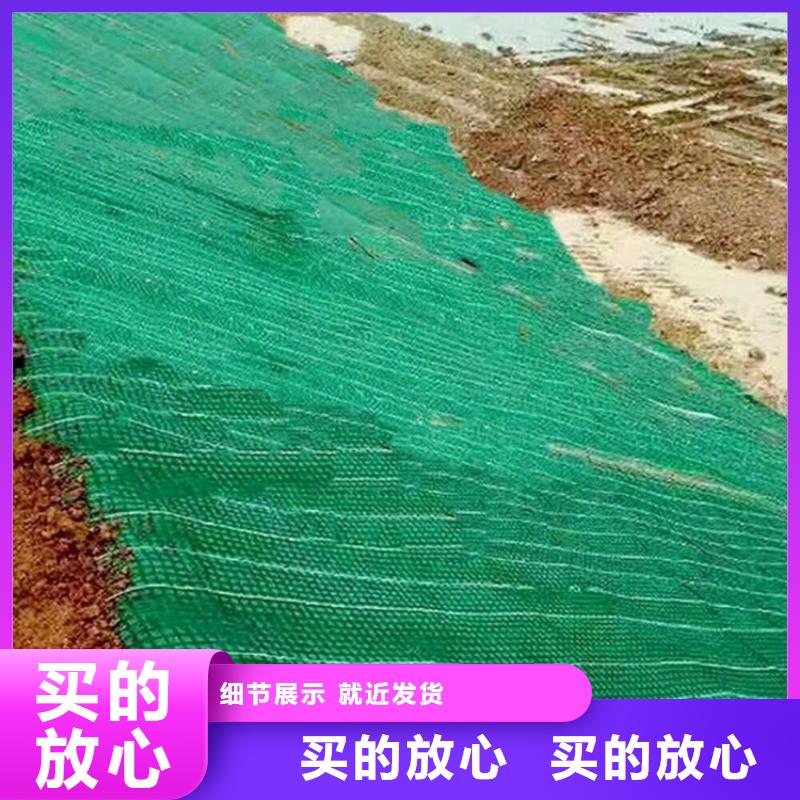 椰纤植生毯加筋抗冲生物毯来厂考察