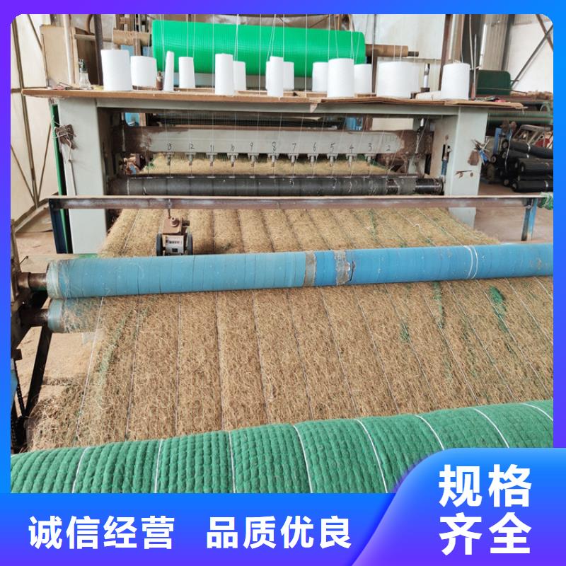 生态环保草毯-植生椰丝毯施工案例